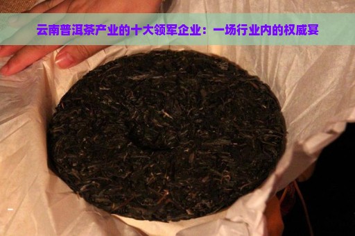 云南普洱茶产业的十大领军企业：一场行业内的权威宴