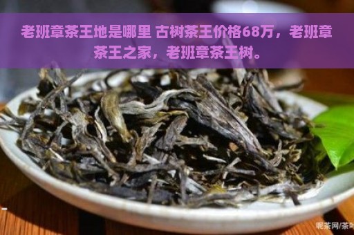 老班章茶王地是哪里 古树茶王价格68万，老班章茶王之家，老班章茶王树。