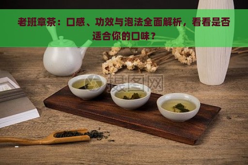 老班章茶：口感、功效与泡法全面解析，看看是否适合你的口味？