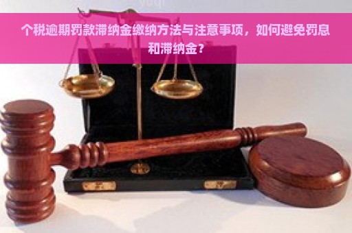 个税逾期罚款滞纳金缴纳方法与注意事项，如何避免罚息和滞纳金？