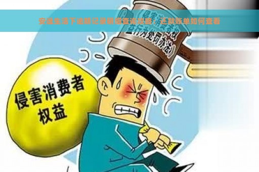 安逸生活下逾期记录明细查询攻略：还款账单如何查看