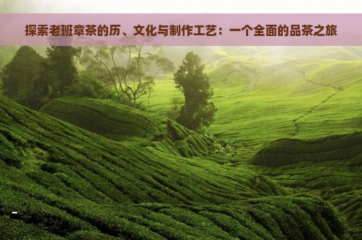 探索老班章茶的历、文化与制作工艺：一个全面的品茶之旅