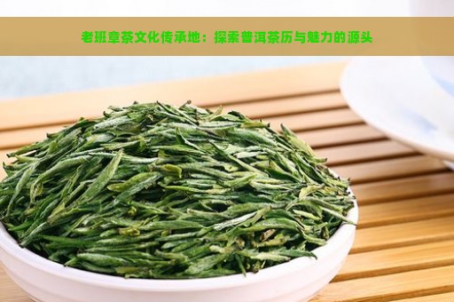 老班章茶文化传承地：探索普洱茶历与魅力的源头