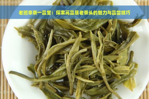 老班章茶一品堂：探索高品质老茶头的魅力与品尝技巧