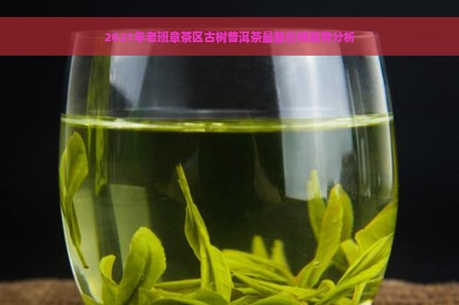 2021年老班章茶区古树普洱茶最新价格趋势分析