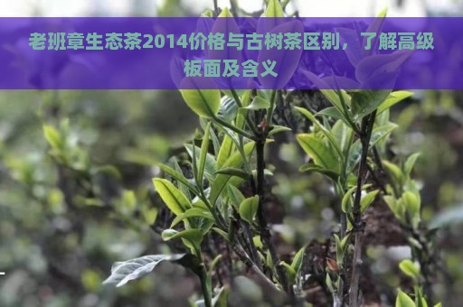 老班章生态茶2014价格与古树茶区别，了解高级板面及含义