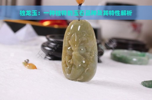 独龙玉：一种独特的玉石品种及其特性解析