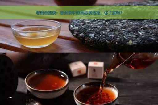 老班章熟茶：普洱茶中的高品质选择，你了解吗？