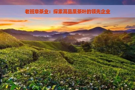 老班章茶业：探索高品质茶叶的领先企业