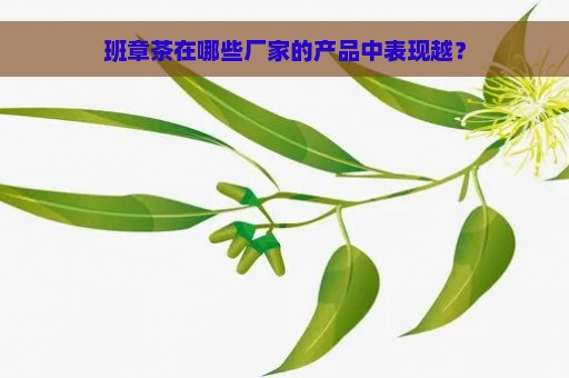 班章茶在哪些厂家的产品中表现越？