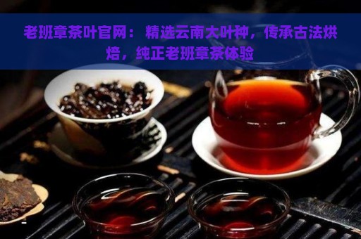 老班章茶叶官网： 精选云南大叶种，传承古法烘焙，纯正老班章茶体验