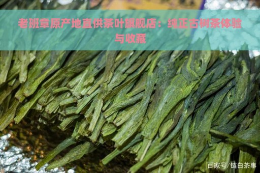 老班章原产地直供茶叶旗舰店：纯正古树茶体验与收藏