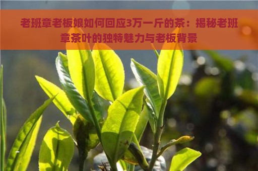 老班章老板娘如何回应3万一斤的茶：揭秘老班章茶叶的独特魅力与老板背景