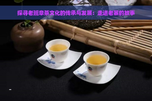 探寻老班章茶文化的传承与发展：走进老寨的故事