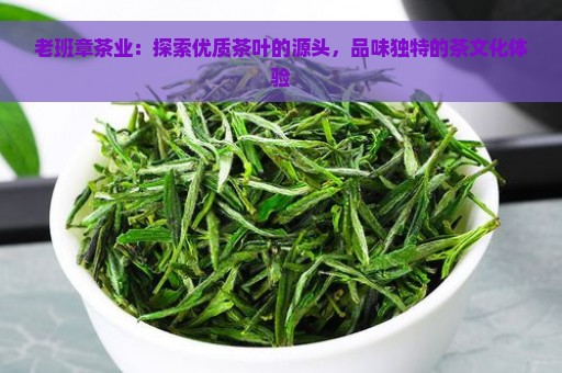 老班章茶业：探索优质茶叶的源头，品味独特的茶文化体验