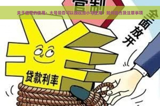 关于借呗的使用：大号是否可以授权给小号使用？如何操作及注意事项