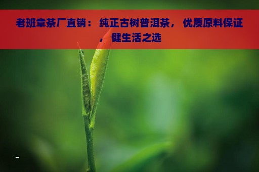 老班章茶厂直销： 纯正古树普洱茶， 优质原料保证， 健生活之选