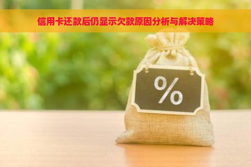 信用卡还款后仍显示欠款原因分析与解决策略