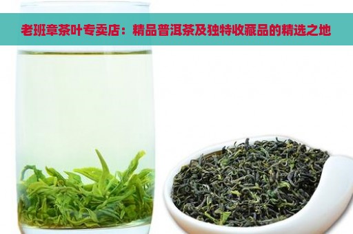 老班章茶叶专卖店：精品普洱茶及独特收藏品的精选之地