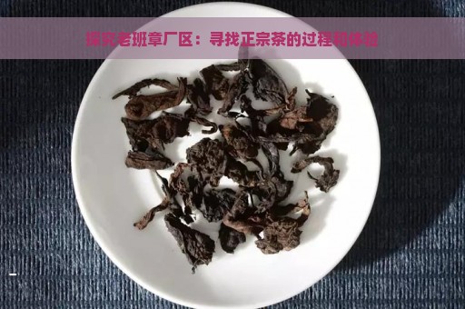 探究老班章厂区：寻找正宗茶的过程和体验