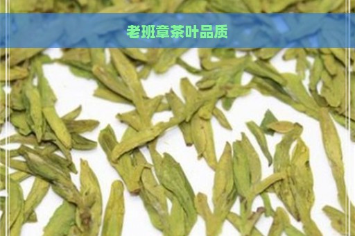 老班章茶叶品质