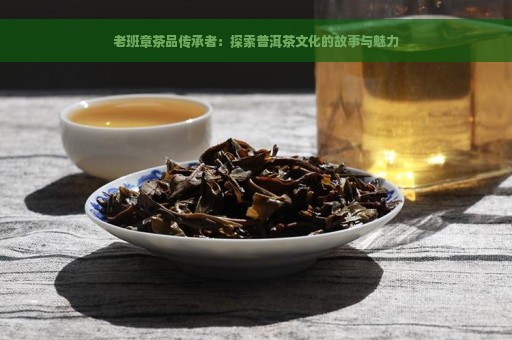 老班章茶品传承者：探索普洱茶文化的故事与魅力