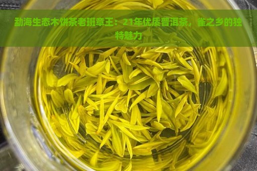 勐海生态木饼茶老班章王：21年优质普洱茶，雀之乡的独特魅力