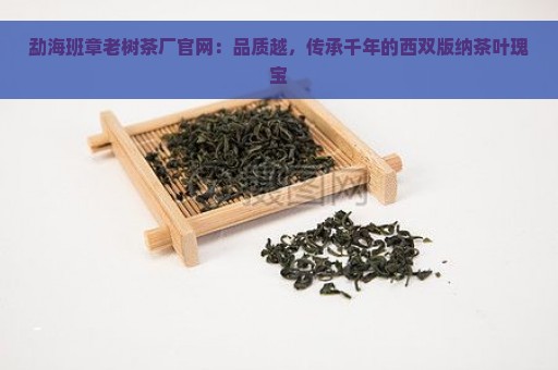 勐海班章老树茶厂官网：品质越，传承千年的西双版纳茶叶瑰宝