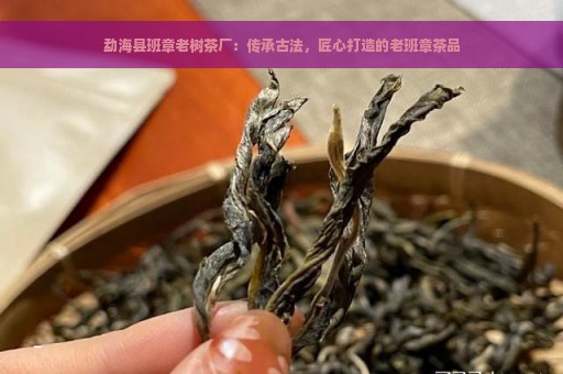 勐海县班章老树茶厂：传承古法，匠心打造的老班章茶品