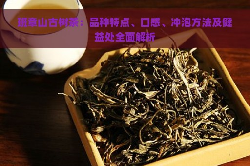 班章山古树茶：品种特点、口感、冲泡方法及健益处全面解析