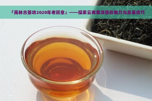 『雨林古茶坊2020年老班章』——探索云南普洱茶的魅力与品鉴技巧