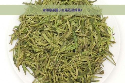 老班章茶属于红茶还是绿茶？