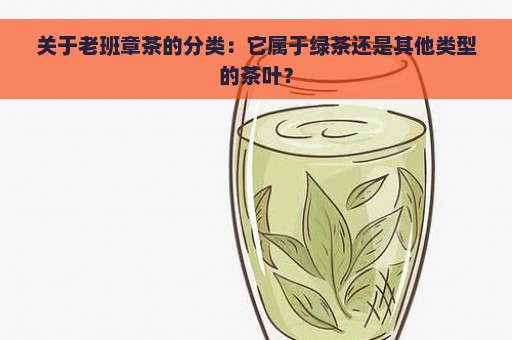 关于老班章茶的分类：它属于绿茶还是其他类型的茶叶？