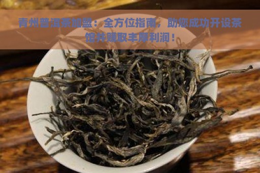 青州普洱茶加盟：全方位指南，助您成功开设茶馆并赚取丰厚利润！