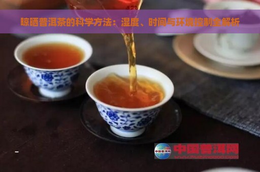 晾晒普洱茶的科学方法：湿度、时间与环境控制全解析