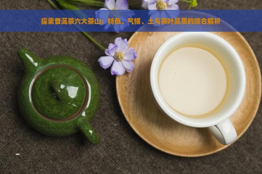 探索普洱茶六大茶山：特色、气候、土与茶叶品质的综合解析