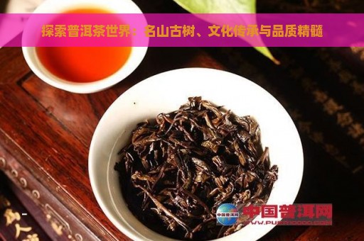 探索普洱茶世界：名山古树、文化传承与品质精髓