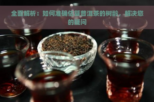 全面解析：如何准确估算普洱茶的树龄，解决您的疑问