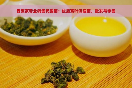 普洱茶专业销售代理商：优质茶叶供应商，批发与零售