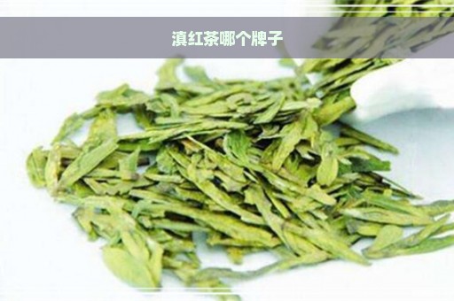 滇红茶哪个牌子