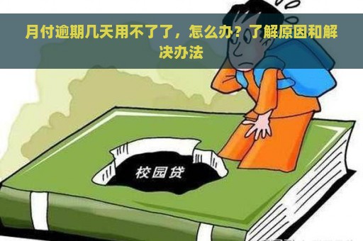 月付逾期几天用不了了，怎么办？了解原因和解决办法