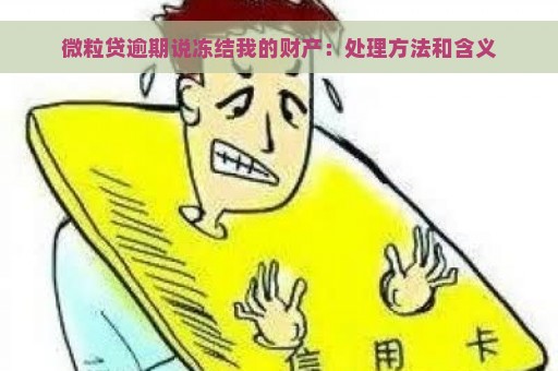 微粒贷逾期说冻结我的财产：处理方法和含义