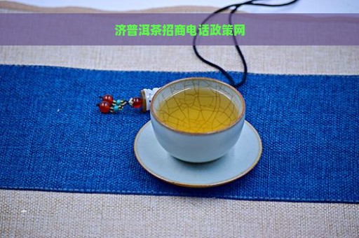 济普洱茶招商电话政策网