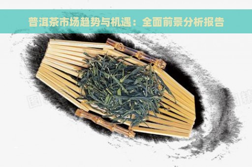 普洱茶市场趋势与机遇：全面前景分析报告