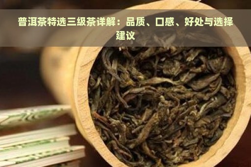 普洱茶特选三级茶详解：品质、口感、好处与选择建议