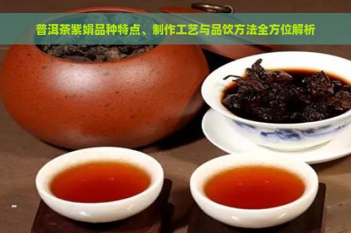 普洱茶紫娟品种特点、制作工艺与品饮方法全方位解析