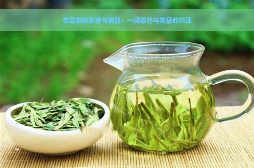 普洱茶的紫芽与紫鹃：一场茶叶与花朵的对话