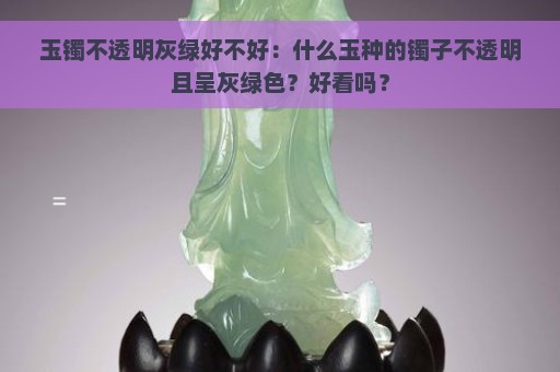 玉镯不透明灰绿好不好：什么玉种的镯子不透明且呈灰绿色？好看吗？