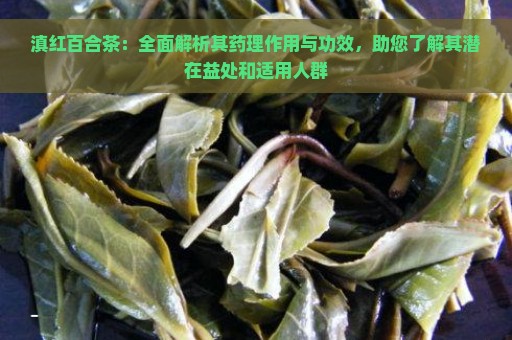 滇红百合茶：全面解析其药理作用与功效，助您了解其潜在益处和适用人群