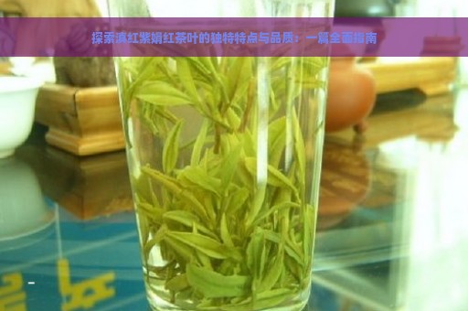 探索滇红紫娟红茶叶的独特特点与品质：一篇全面指南